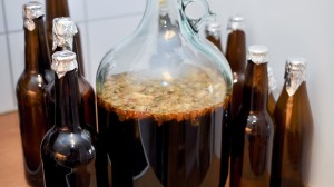 Drain Pour Guide: Explaining Why Your Homebrew Didn’t Turn Out Like You Hoped