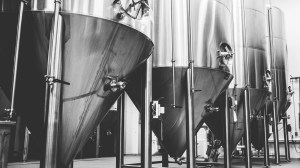 Universally Esteemed Homebrewer Excited to Have Lifelong Dream of Opening Production Facility Criticized By Shitlords